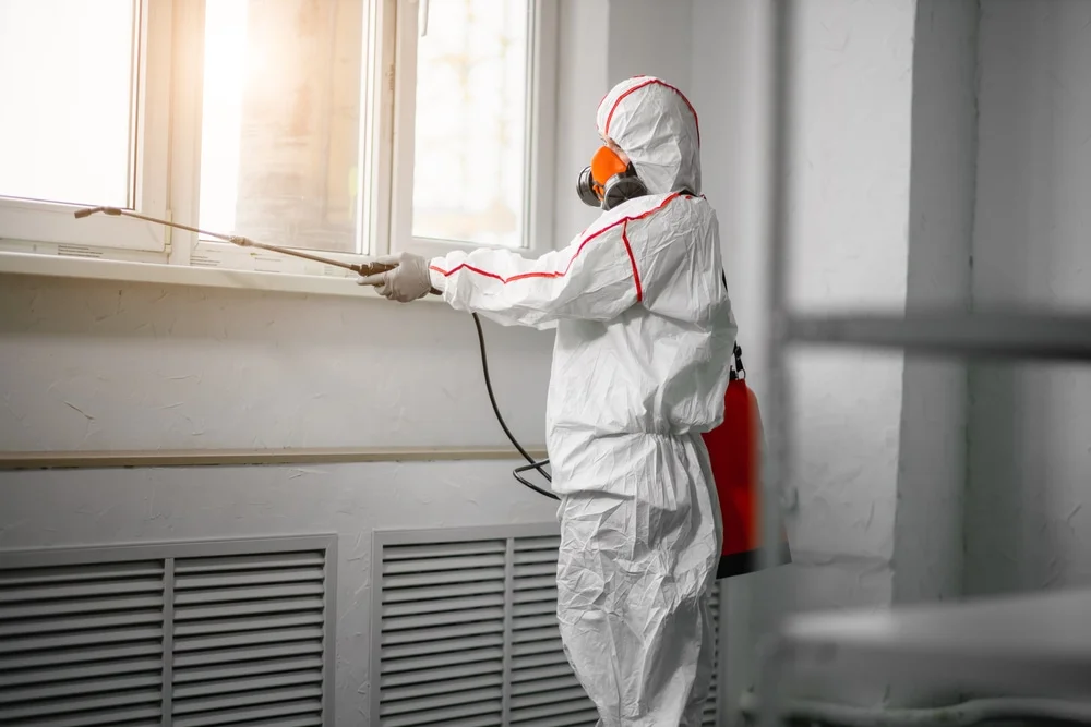 Professional mold remediation services in Windham, CT